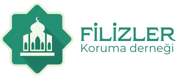 Your Store